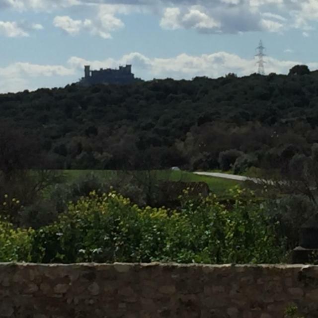 Casa Del Almezo Vendégház Almodóvar del Río Kültér fotó